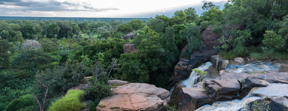 Arly National Park