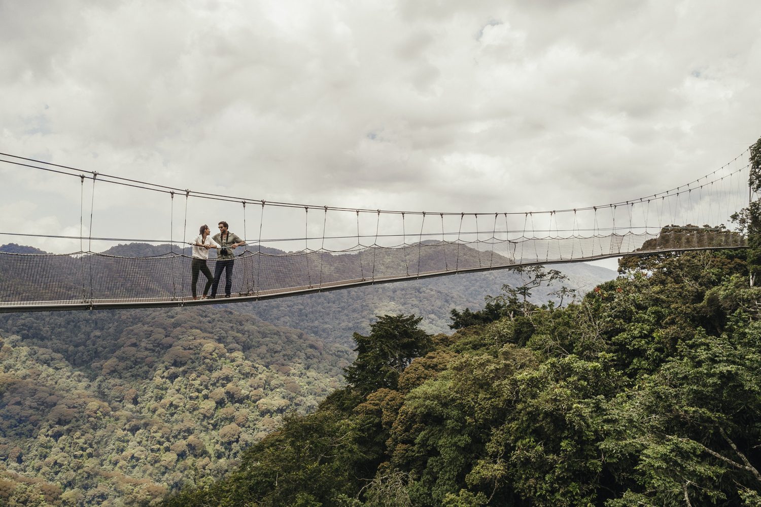 Nyungwe Forest & Canopy Trails